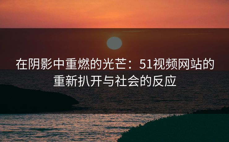 在阴影中重燃的光芒：51视频网站的重新扒开与社会的反应