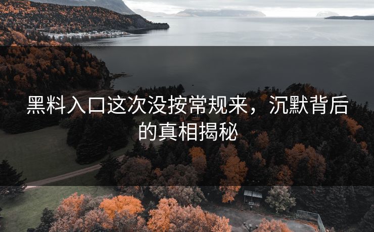 黑料入口这次没按常规来，沉默背后的真相揭秘