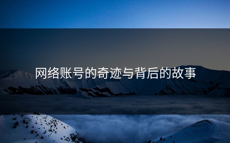 网络账号的奇迹与背后的故事